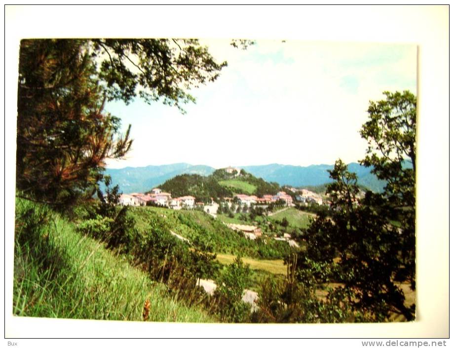 BADIA TEDALDA   AREZZO TOSCANA   VIAGGIATA  COME DA FOTO - Arezzo