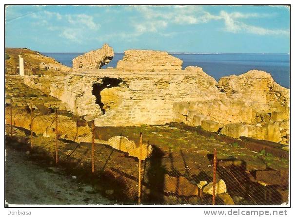 Cabras (Oristano): Scavi Dell´antica Città THARROS. Cartolina Anni ´70. - Oristano