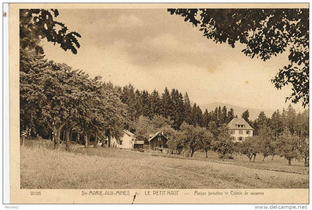 Ste MARIE AUX MINES. Le Petit Haut. Maison Forestière Et Colonie De Vacances - Sainte-Marie-aux-Mines