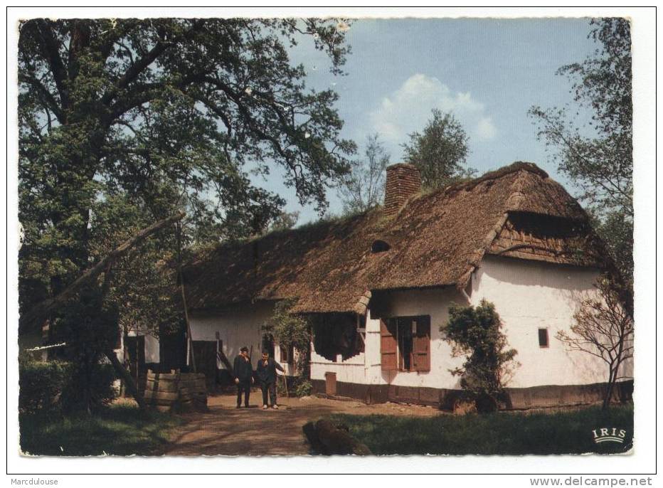 Bokrijk (Genk). Provinciaal Domein. De Wellenshoeve (Anno 1777). Domaine Provincial. La Ferme Wellens. - Genk