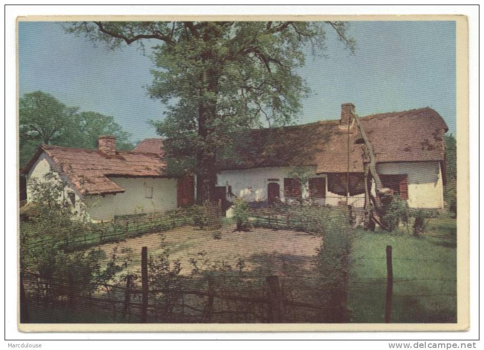 Bokrijk (Genk). Domein. Openluchtmuseum. Kempische Hoeve Uit Lummen, 1777, Genoemd Wellenshoeve, Naar Kunstschilder Ch. - Genk