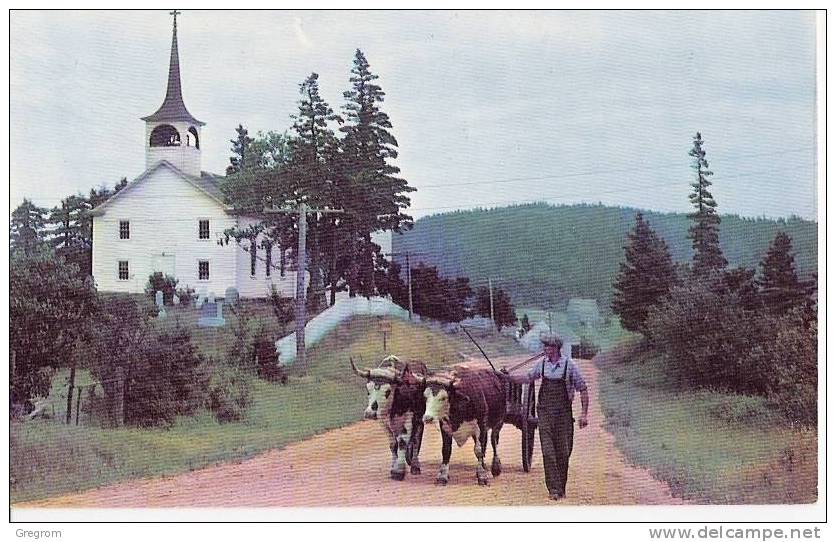 CANADA , Anse Aux Gascons , P.Q., Scenic Gaspé Peninsula ! Attelage , ( Team) - Gaspé