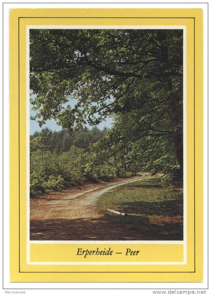 Peer. Erperheide. Lande. Postzegel - Timbre N° 1754. - Peer