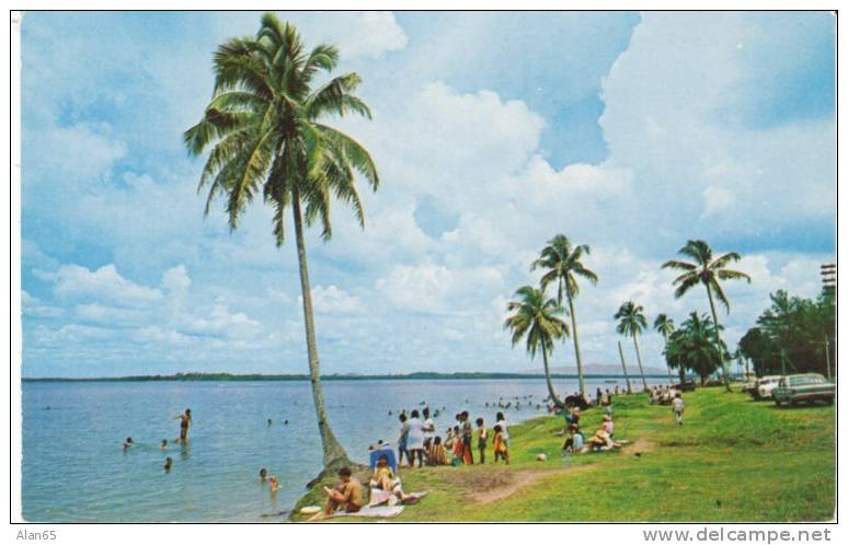 Johore Bahru Seaside Resort Beach, Swimming, On C1960s Vintage Postcard, Auto - Malesia