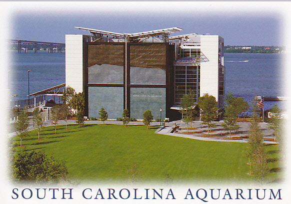Charleston - South Carolina Aquarium, South Carolina - Charleston