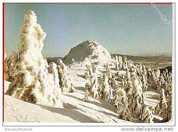 AK 25600 Skiparadies Großer Arber BAYERISCHER WALD 1457 M Mehrbild 3 Bilder 7.-1.76 -- 8 8492 FURTH I. WALD 1 N. Kayhude - Cham