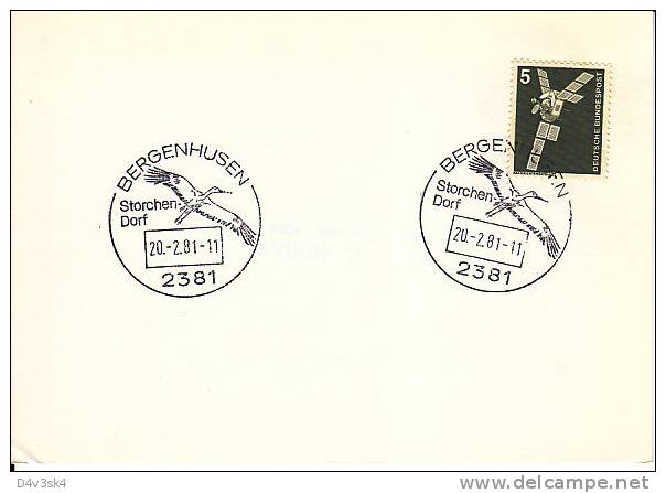 1981 Germany Bergenhusen Storks Wading Birds Cigognes Echassiers Cicogne Ciguenas Störche Ornithology Ornithologie - Mechanical Postmarks (Advertisement)