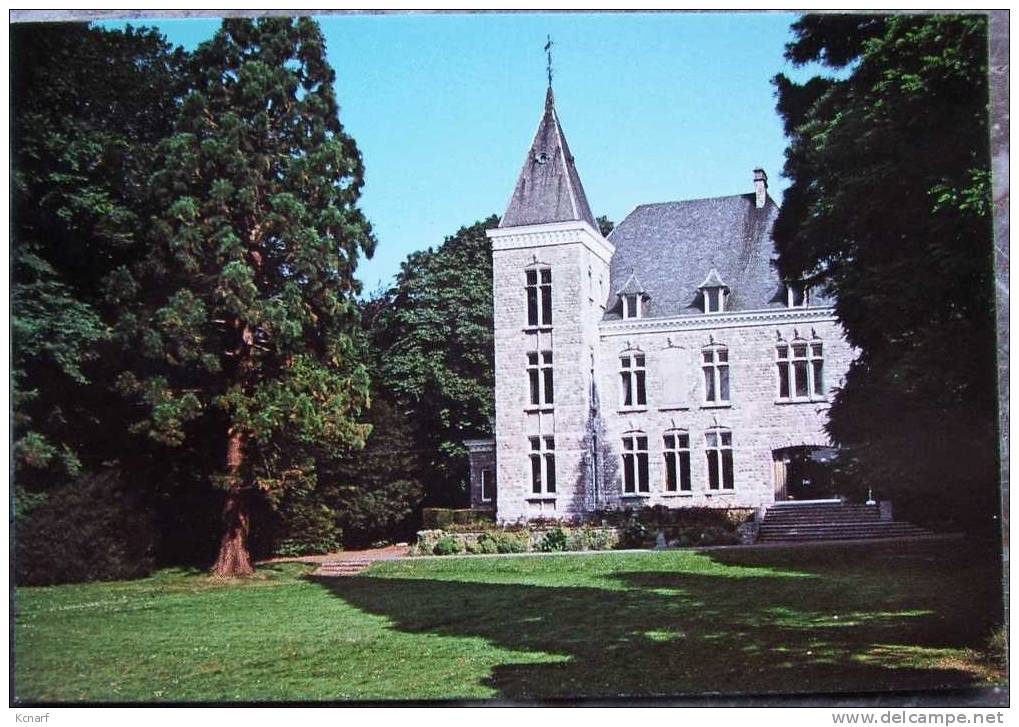CP De EGHEZEE " Château DELFOSSE " . - Eghezée