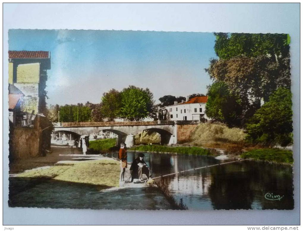 TARTAS  (Landes)  :  Les Bords De La MIDOUZE  (Carte Semi-moderne) - Tartas