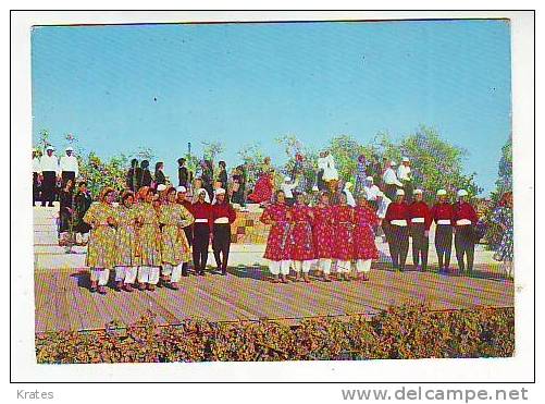 Postcard - Folkolore Dances At Ramallah Summer Festivals, Palestine - Non Classés