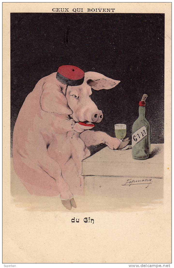 COCHON HABILLÉ - ATTITUDE HUMAINE : CEUX QUI BOIVENT ...du GIN Par ESPINASSE - ANNÉE: ENV. 1900 (f-516) - Schweine