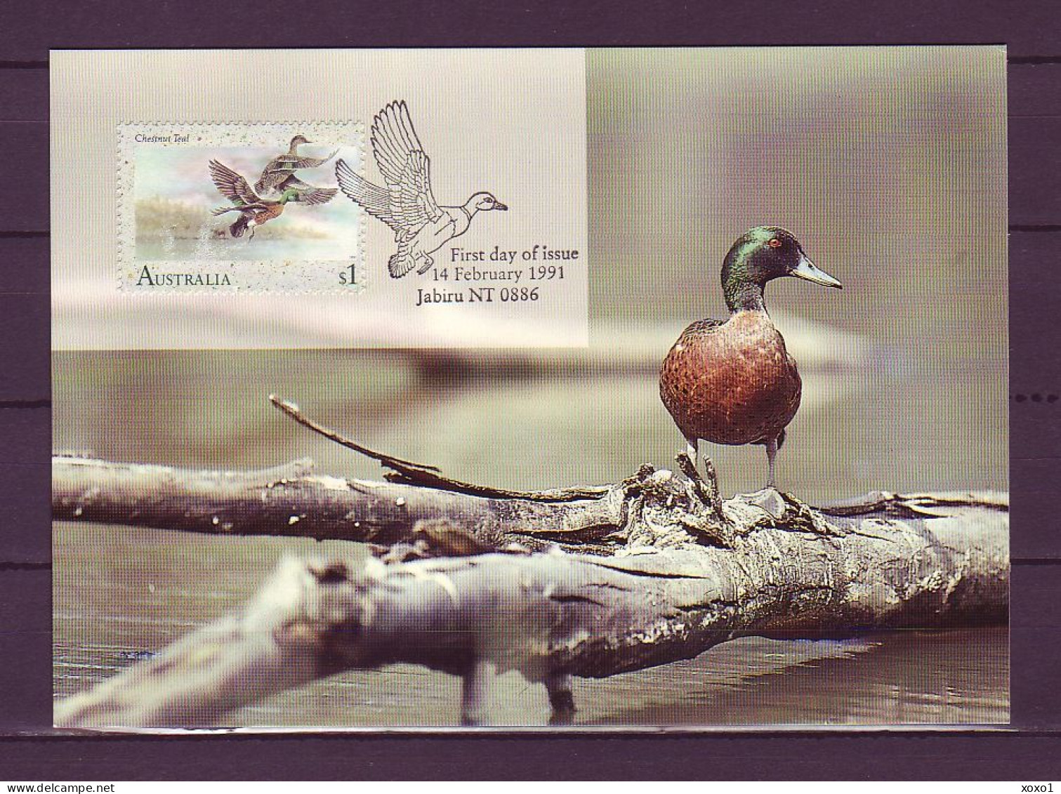 Australia 1991 MiNr. 1240 Wasservögel Birds The Chestnut Teal (Anas Castanea)  MC   2,00 € - Entenvögel