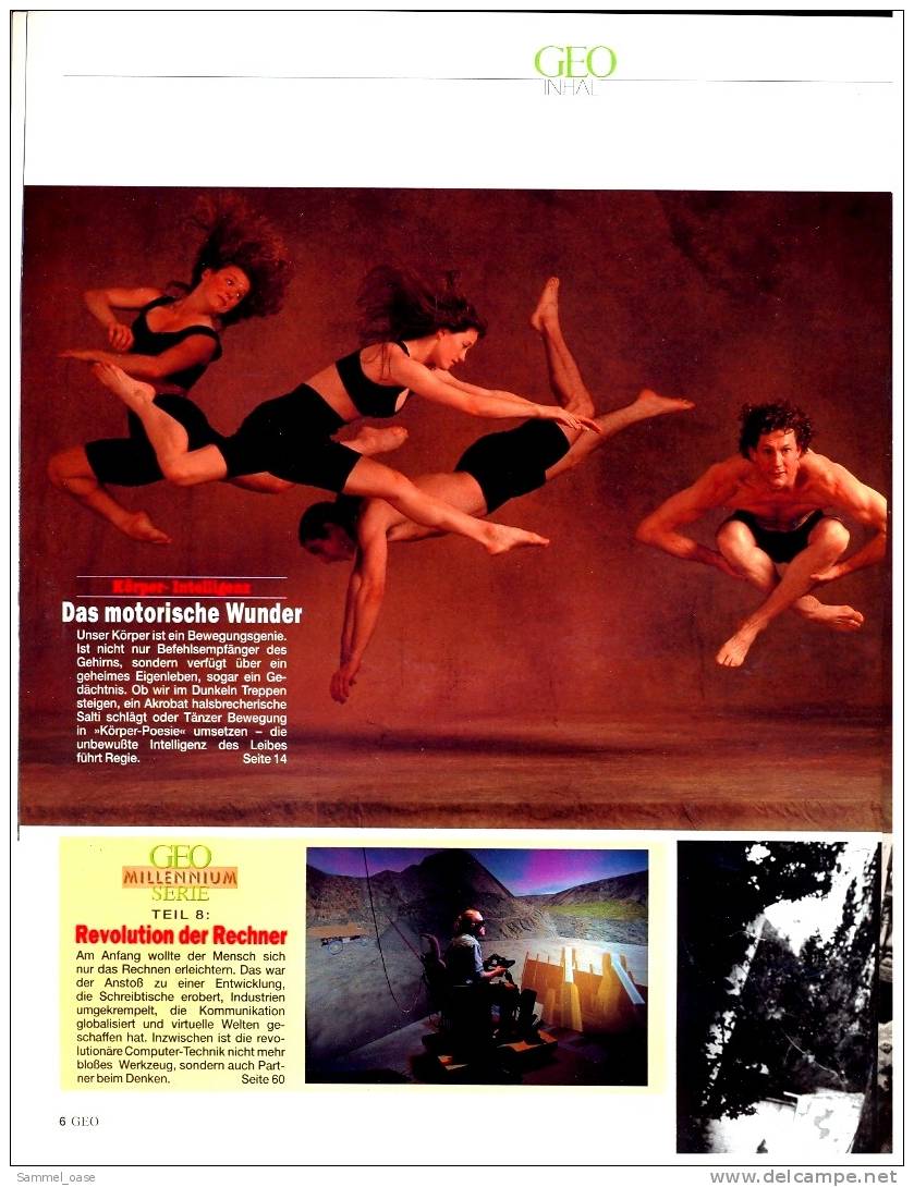 Geo Magazin  -  Nr.8  1999 ,  Wie Klug Unser Körper Ist  -  Fledermaus : Die Geheimnisse Der Nachtschwärmer - Sonstige & Ohne Zuordnung