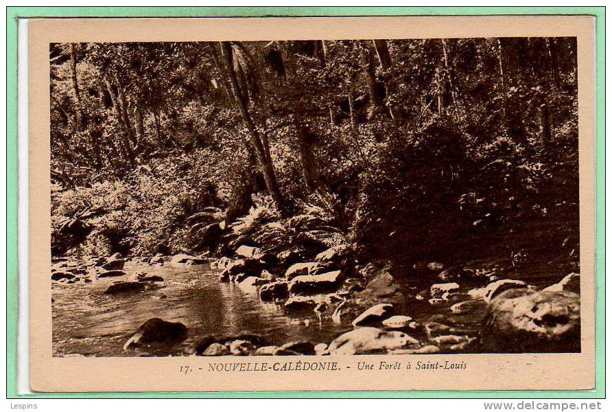 OCEANIE - NOUVELLE CALEDONIE  -  Une Forêt à Saint Louis - New Caledonia