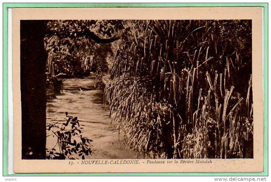 OCEANIE - NOUVELLE CALEDONIE  - Pandanus Sur La Rivière Moidah - N° 13 - - New Caledonia