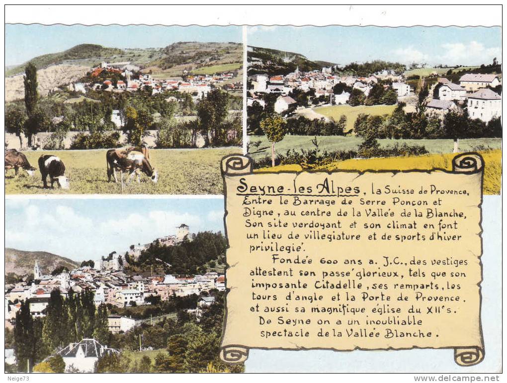 Carte Des Années 50-60 Du 04 - Seyne Les Alpes - Vues Multiples - Sonstige & Ohne Zuordnung