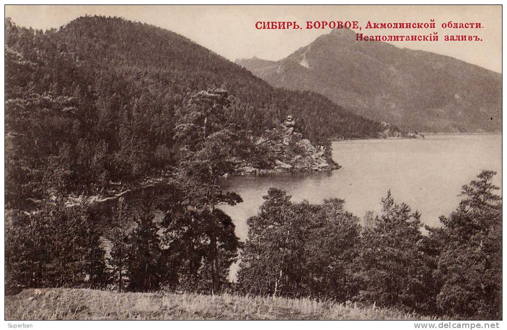 RUSSIA [ SIBERIA ] : BOROVOE - AKMOLINSKOY OBLAST - ANNÉE: ENV. 1910 (f-471) - Kazachstan
