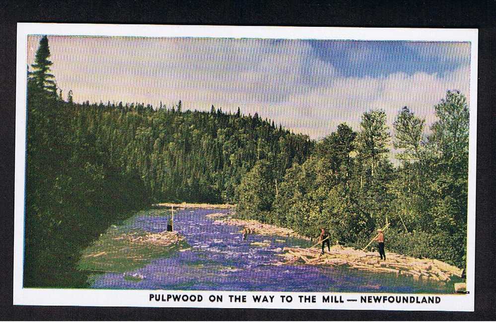 RB 592 - Postcard Pulpwood On The Way To The Mill - Newfoundland Canada - Other & Unclassified