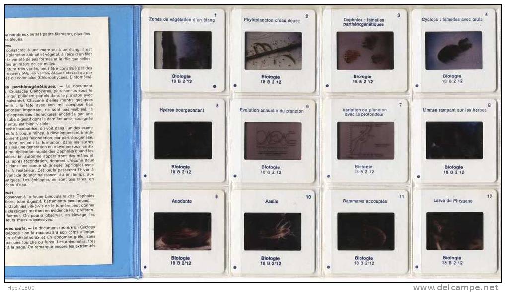 Biologie - Un Milieu D´eau Douce : L´étang - Série Complète De 12 Diapositives Avec Notice Explicative - Fiches Didactiques