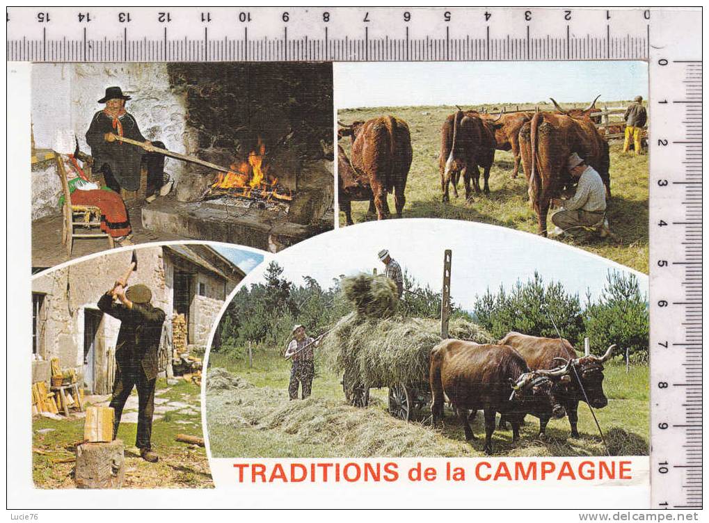 TRADITIONS De La CAMPAGNE -  4 Vues :  VEILLEE  Au "CANTOU" - TRAITE Au Parc - Le BUCHERON - La FENAISON - N° 281 - Bauernhöfe