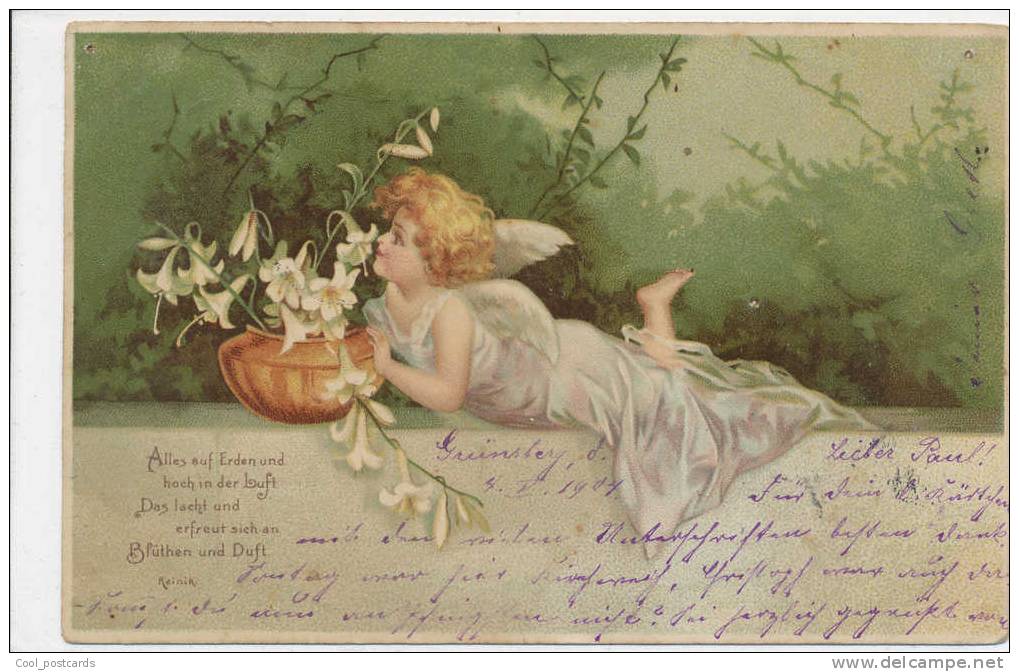 FLOWER FAIRY WITH WHITE LILLIES, ANGEL?  VF Cond. Fine Litho PC, Mailed 1904, Undivided Back - Clapsaddle