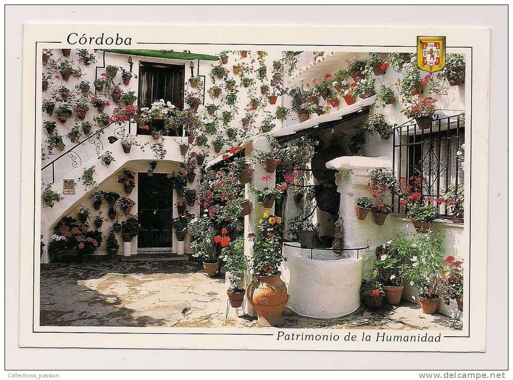 Cp , ESPAGNE , CORDOBA , Patios , Voyagée , Couts , Courtyards , Patrimonio De La Humanidad - Córdoba