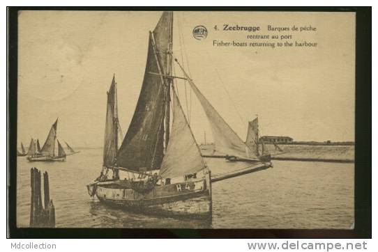 BELGIQUE ZEEBRUGGE / Barques De Pêcheurs Rentrant Au Port / - Zeebrugge