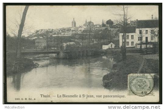 BELGIQUE THUIN / La Biesmelle à Saint Jean, Vue Panoramique / - Thuin