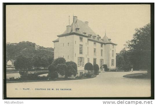 BELGIQUE TILFF / Château De M. De Sauvage / - Esneux