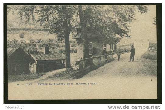 BELGIQUE TILFF / Entrée Du Château De M. Alphonse Neef / - Esneux