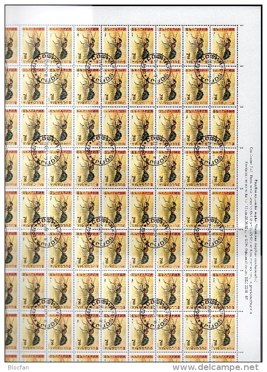 WWF Gottesanbeterin 1992 Bulgarien 3998/9,4016/7+4xBögen O 455€ Ameise Schwebfliege Heuschrecke Fauna Sheets Bf BULGARIA - Colecciones & Series