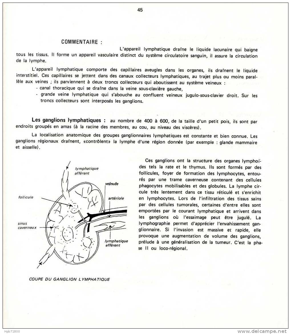 Sciences - Éducation Sur Les Cancers - Dossier Documentaire + 24 Diapositives - Didactische Kaarten