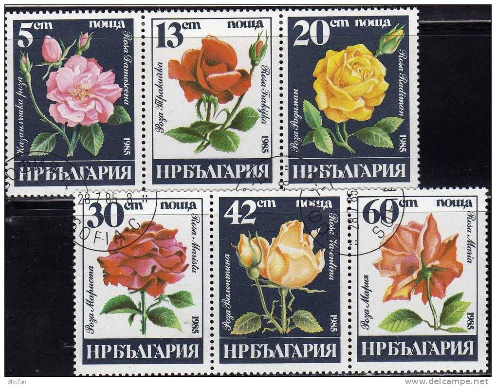 Naturschutz Blumen 1985 Flora Bulgarien 3373/8+Kleinbogen O 6€ Rosen Bloque Hb Bloc Flower M/s Rose Sheetlet Bf BULGARIA - Verzamelingen & Reeksen