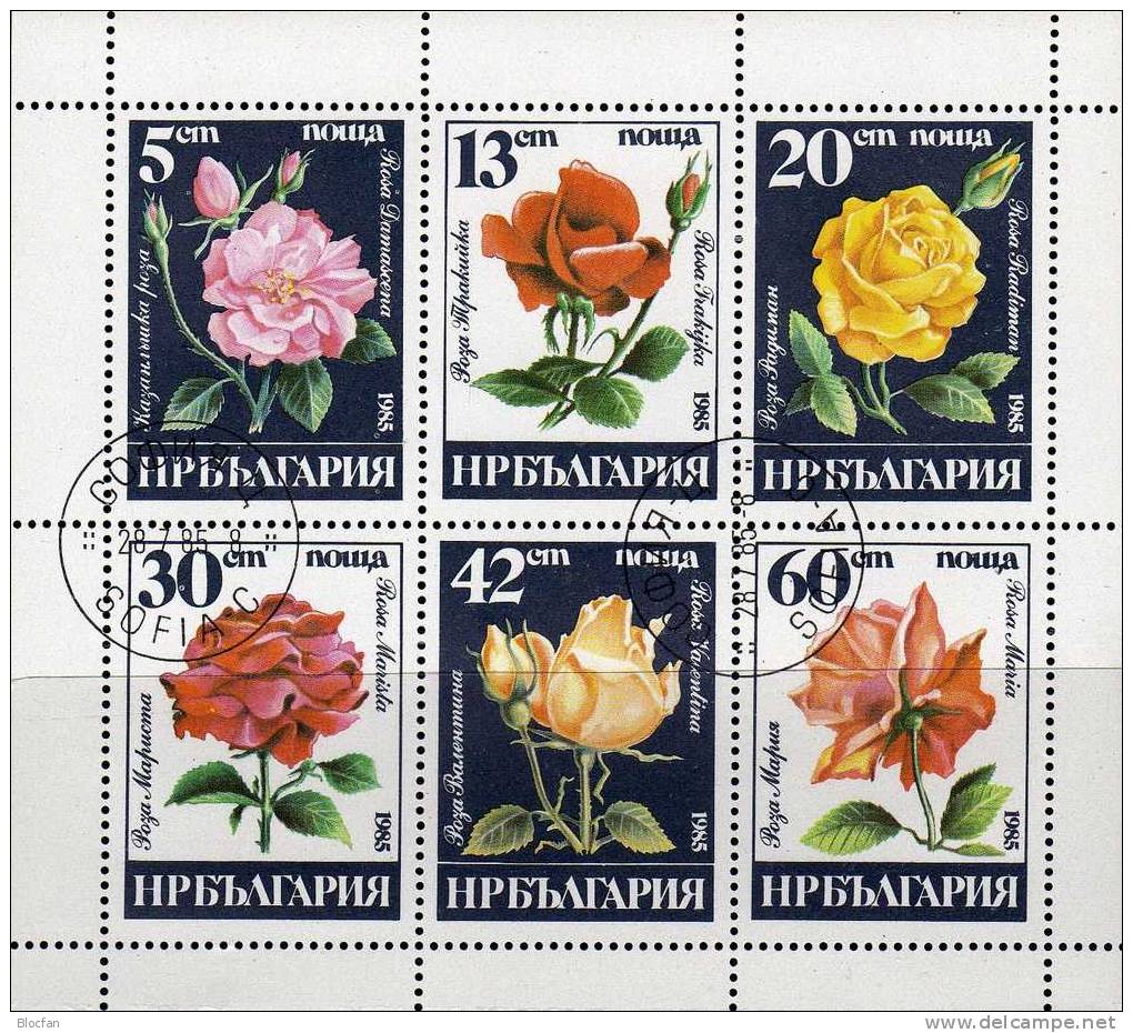 Naturschutz Blumen 1985 Flora Bulgarien 3373/8+Kleinbogen O 6€ Rosen Bloque Hb Bloc Flower M/s Rose Sheetlet Bf BULGARIA - Lots & Serien