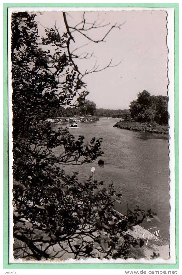 94 - CHARENTON -- Saint Maurice - Vue Sur La Marne - 1952 - Charenton Le Pont