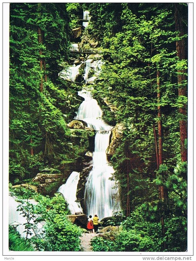 Triberg Im Schwarzwald   Deutschlands Gröbte Wasserfälle 162 M Hoch Genummerd 236911 - Triberg