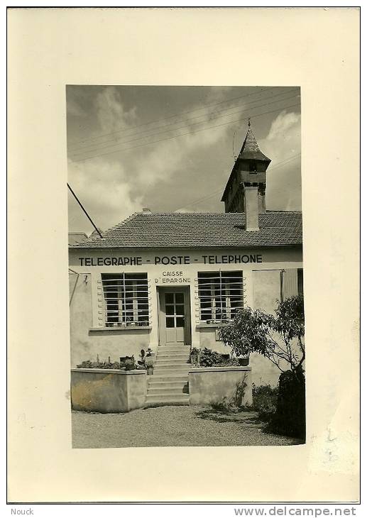 PRESSIGNAC (Dordogne): La Poste (lot: Carte Postale + Négatif + épreuve Photo) - Altri & Non Classificati