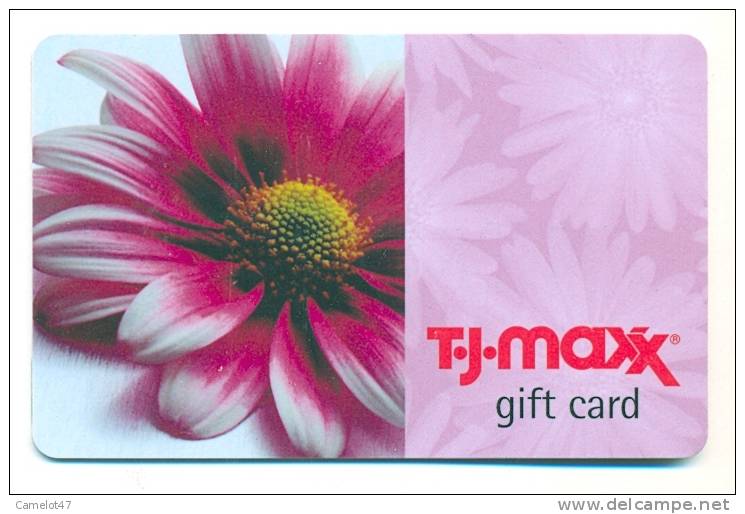 T-J-Maxx,  U.S.A. Carte Cadeau Pour Collection # 8 - Tarjetas De Fidelización Y De Regalo