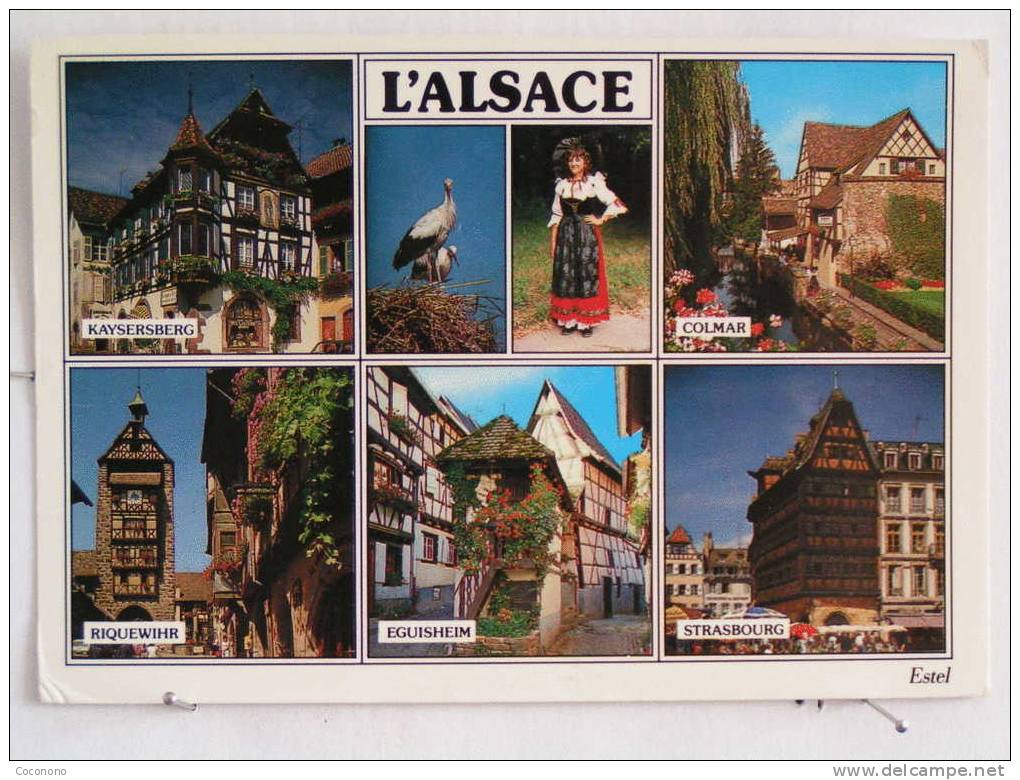 Alsace - Kaysersberg - Colmar - Riquewihr - Eguisheim - Strasbourg - Alsace