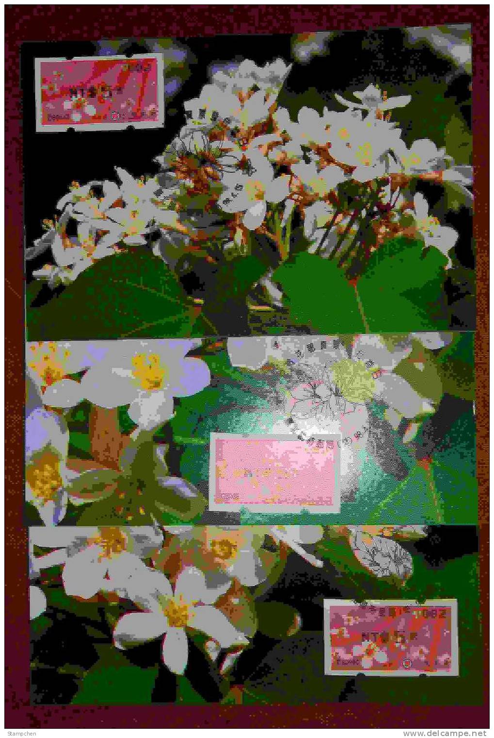 3 Maxi Cards Taiwan 2009 ATM Frama Stamp- 2nd Blossoms Of Tung Tree - Black Imprint - Flower (B) - Tarjetas – Máxima