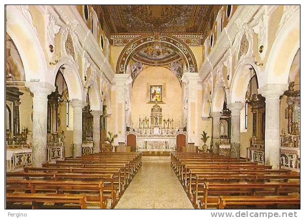 7121 - MONTAURO (CATANZARO) - Interno Della Chiesa Matrice - Catanzaro