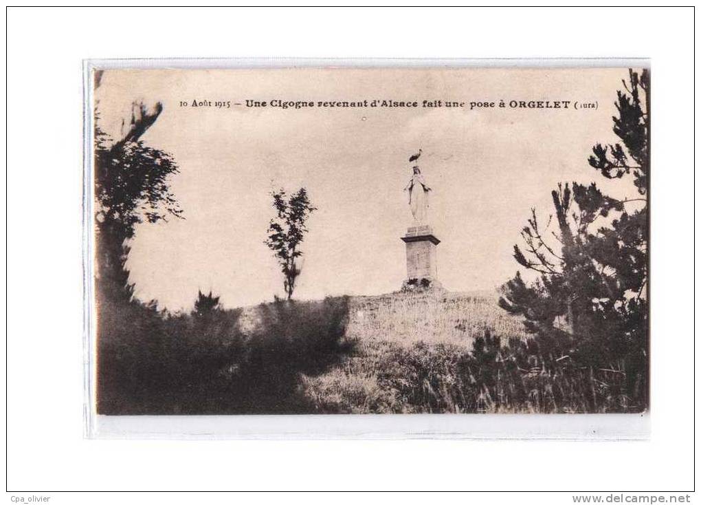 39 ORGELET Vierge, Cigogne Revenant D'Alsace, 10-08-1915, Ed ?, 191? - Orgelet