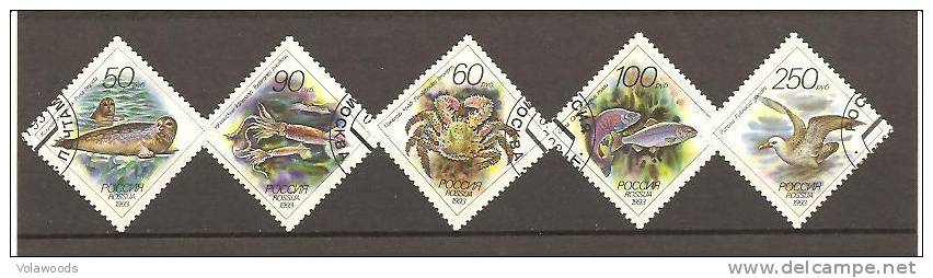 Russia - Serie Completa Usata: Fauna Marina - Used Stamps