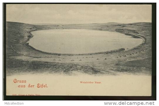 ALLEMAGNE DAUN / Weinfelder Maar / - Daun