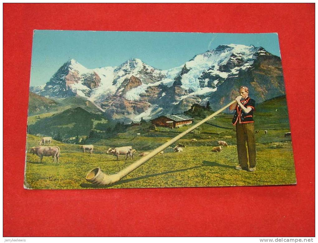 Suisse  -  Alphornbläser -  1948 - Horn