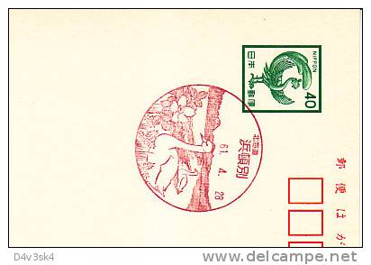 1961 Japan Swans Cygnes Cigni Cisnes Ornithology Ornithologie - Mechanical Postmarks (Advertisement)