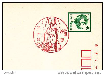 1961 Japan Swans Cygnes Cigni Cisnes Ornithology Ornithologie - Oblitérations & Flammes