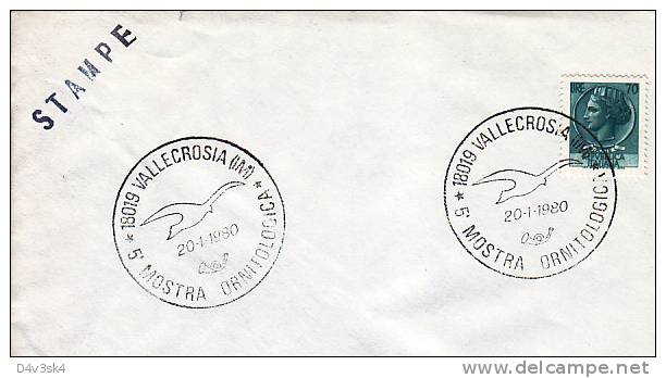 1980 Italia Imperia Gabbiani Ornitologia Seagulls Gulls Sea Birds Goelands Gabbiani Gaviotas Ornithology Ornithologie - Mechanical Postmarks (Advertisement)