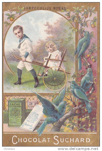 Chromo Suchard, Pigeons - Suchard