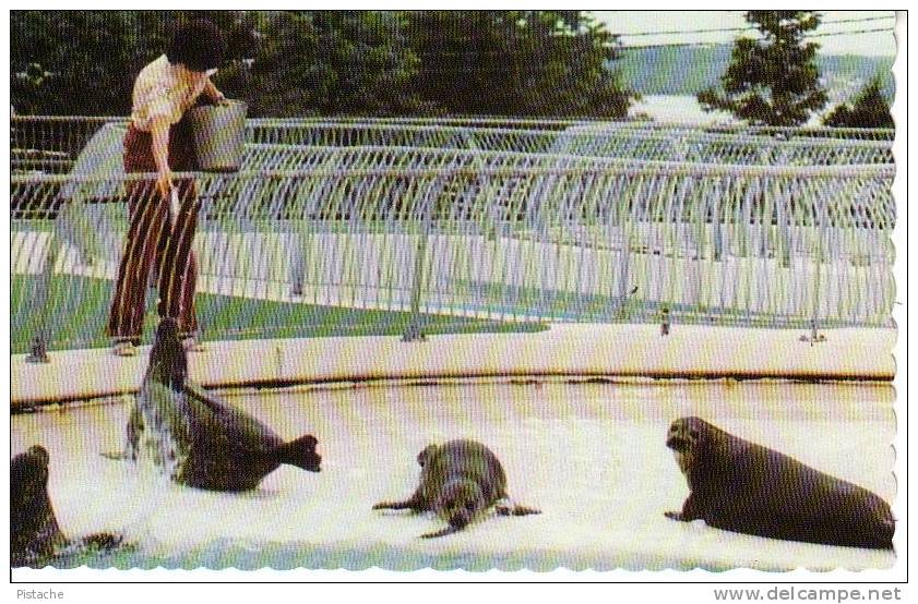 Aquarium De Québec - Phoques - Seals - Neuve - Unused - Québec - Sainte-Foy-Sillery